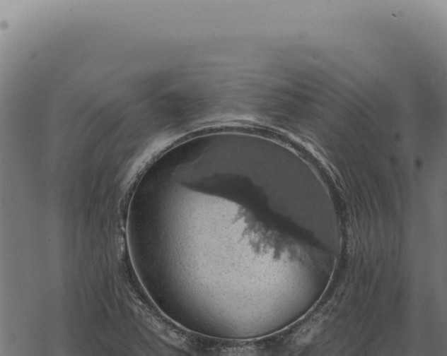 X0000068841363200605121356