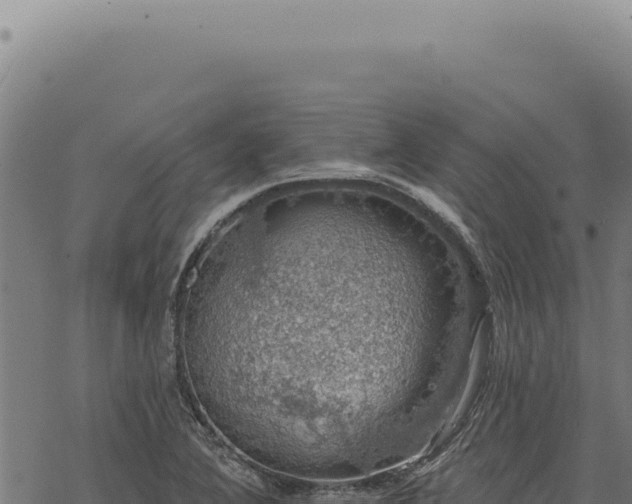 X0000068841364200605121356