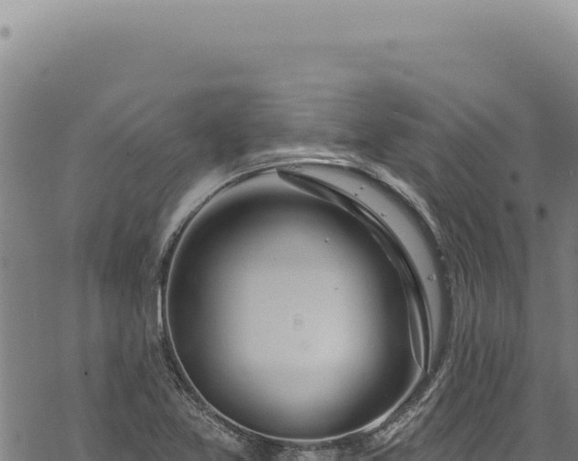 X0000068841365200605121356