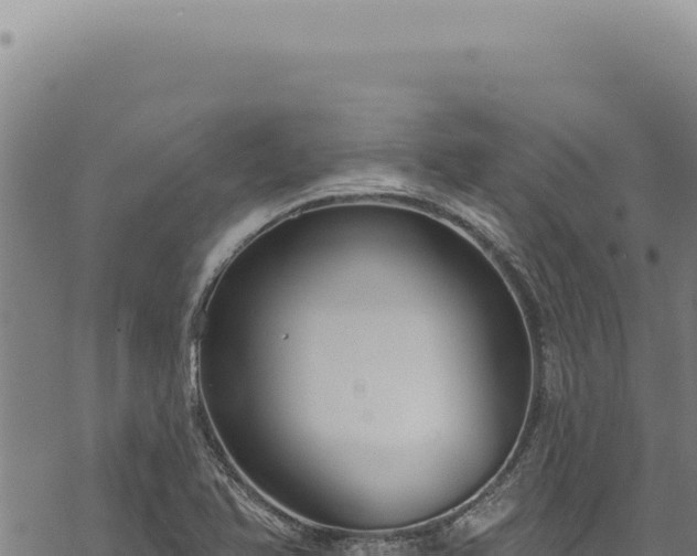 X0000068841366200605121356