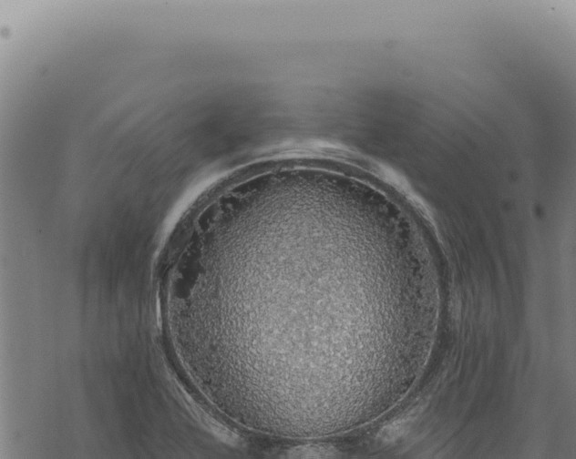 X0000068841368200605121356