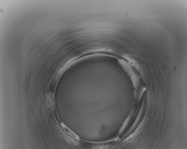 X0000068841369200605121356