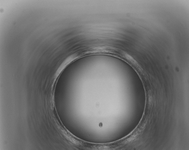 X0000068841370200605121356