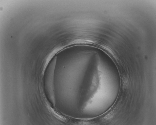 X0000068841371200605121356