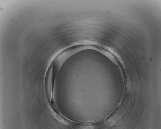 X0000068841372200605121356