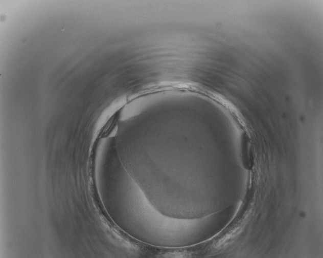 X0000068841373200605121355