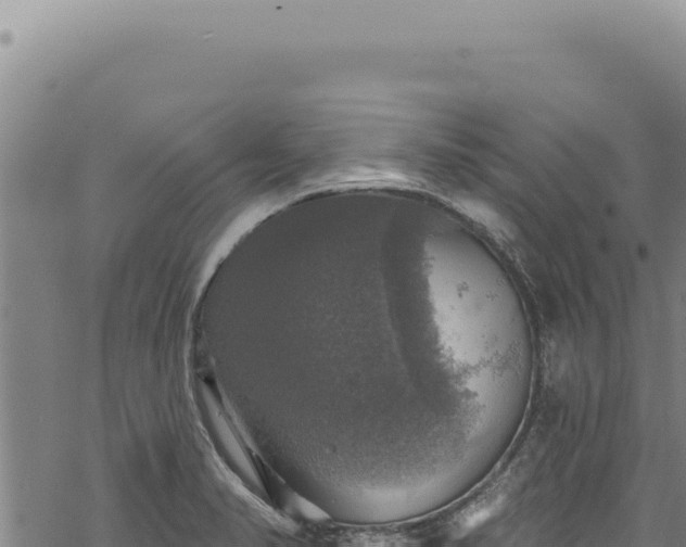 X0000068841374200605121355