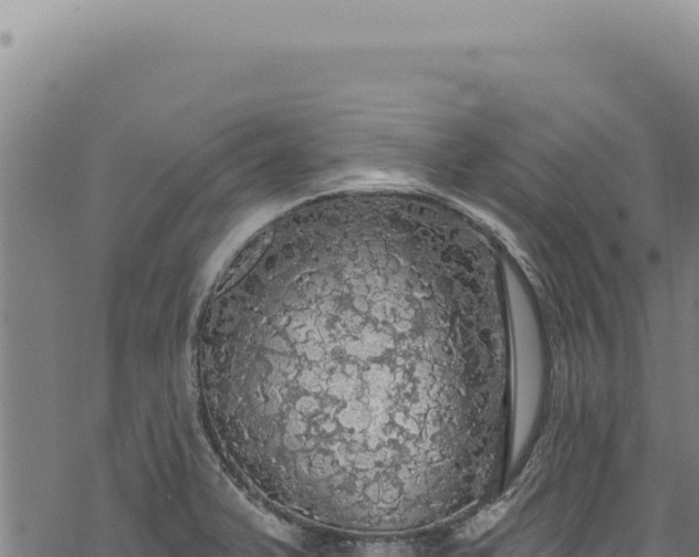 X0000068841375200605121355