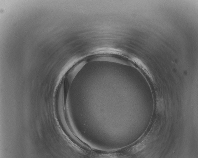 X0000068841376200605121355