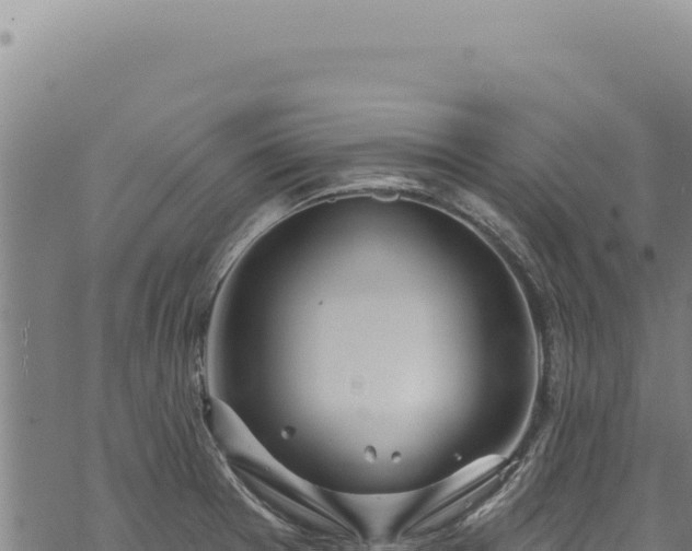 X0000068841377200605121355