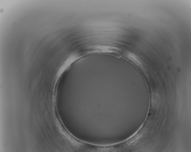 X0000068841378200605121355