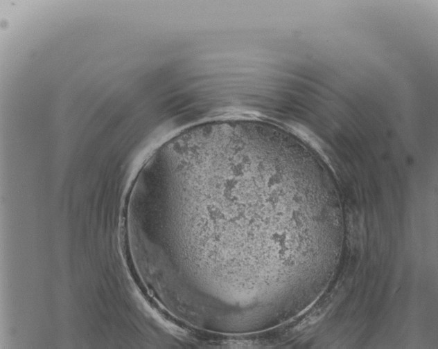 X0000068841379200605121355