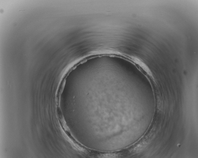 X0000068841380200605121355