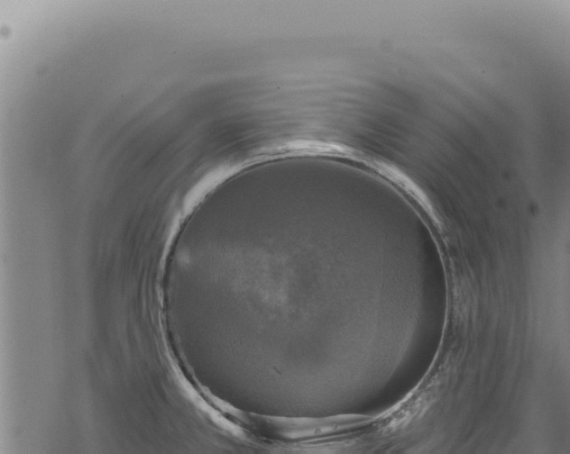 X0000068841381200605121355