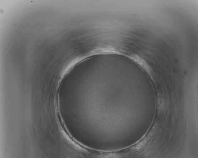 X0000068841382200605121355