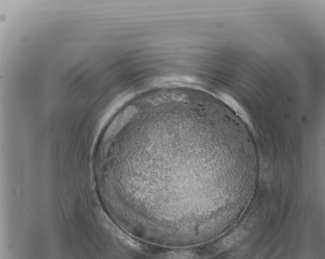 X0000068841384200605121355