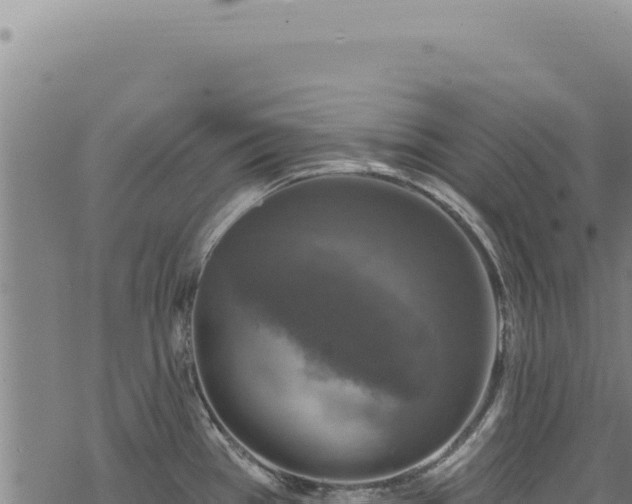 X0000068841385200605121355