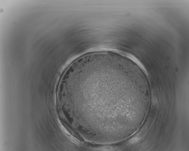 X0000068841388200605121355