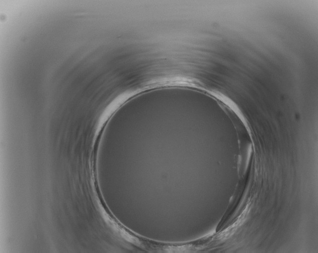 X0000068841389200605121355