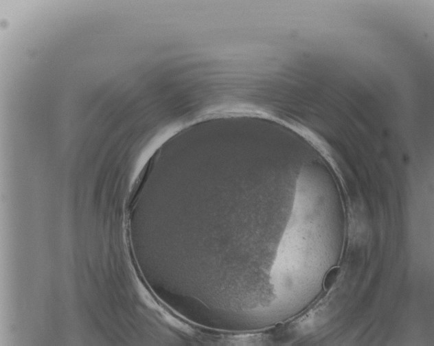 X0000068841390200605121355