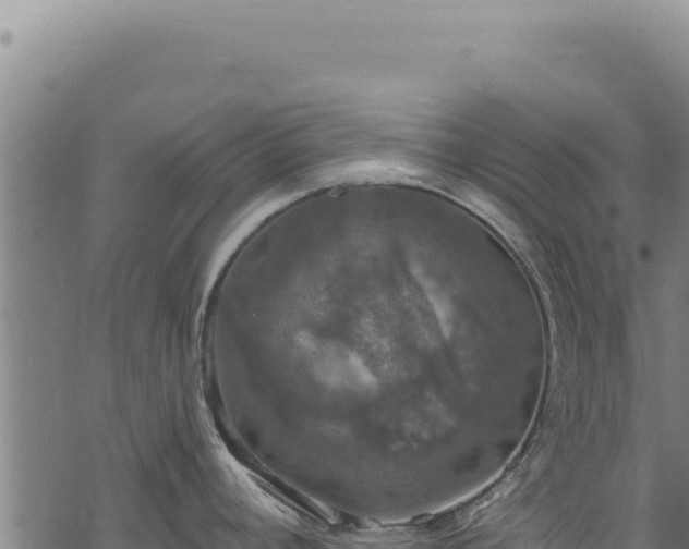 X0000068841392200605121355