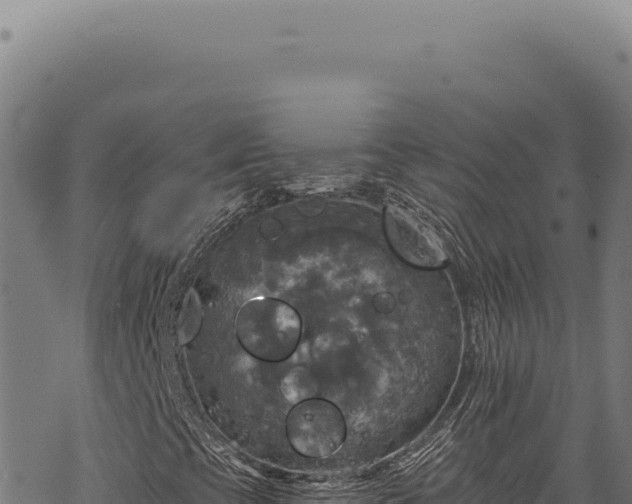 X0000068841393200605121354