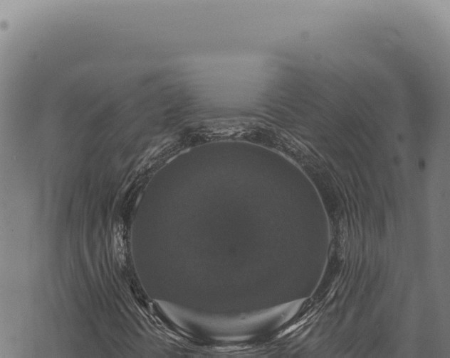 X0000068841394200605121354