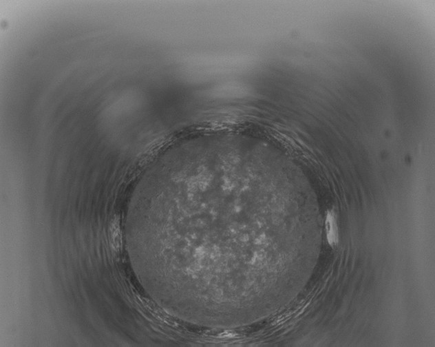 X0000068841395200605121354