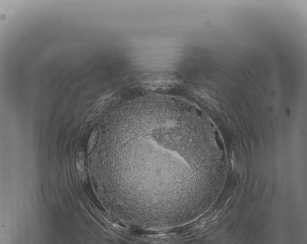 X0000068841396200605121354