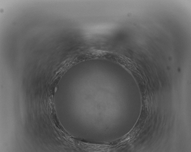 X0000068841397200605121354