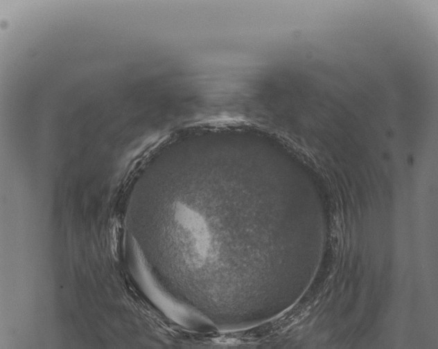 X0000068841398200605121354