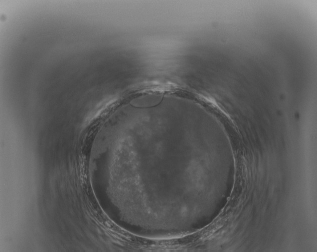 X0000068841399200605121355