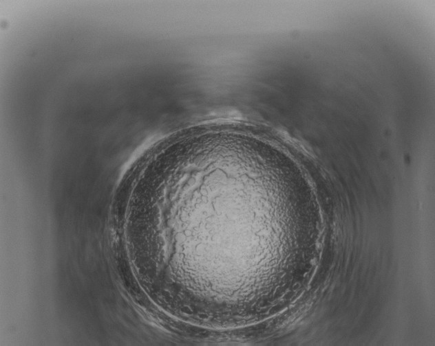 X0000068841400200605121355