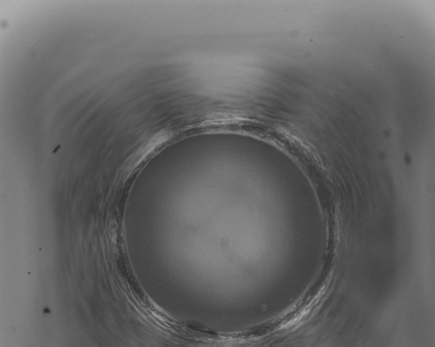 X0000068841401200605121355