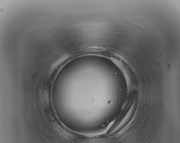 X0000068841402200605121355