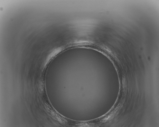 X0000068841405200605121355