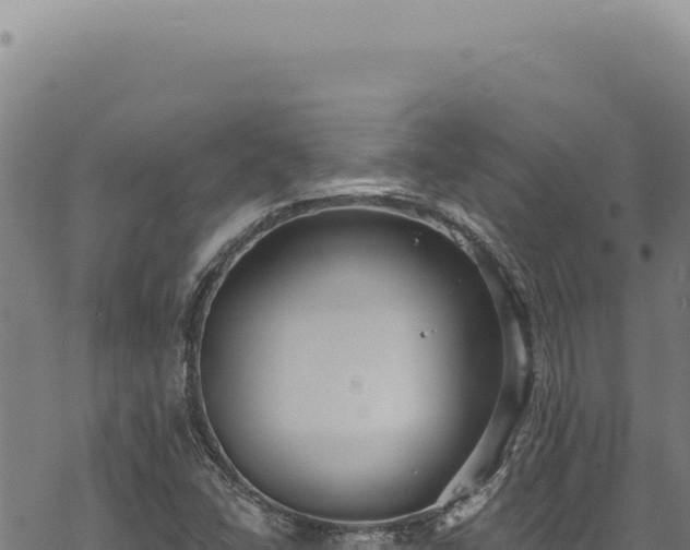 X0000068841406200605121355