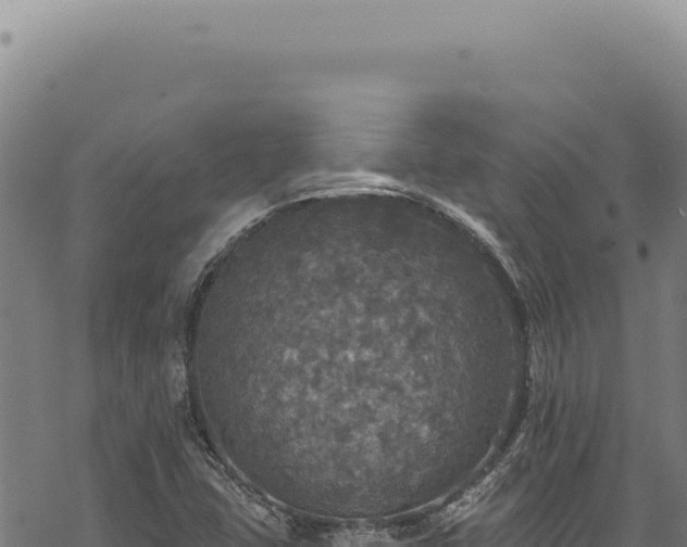 X0000068841407200605121355