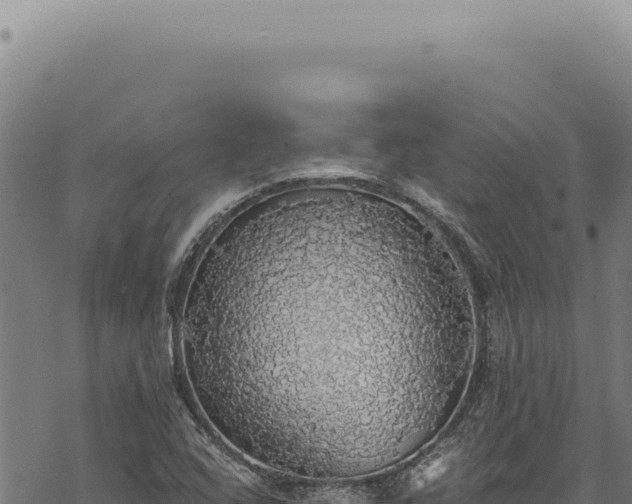 X0000068841408200605121355