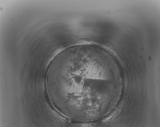 X0000068841409200605121355