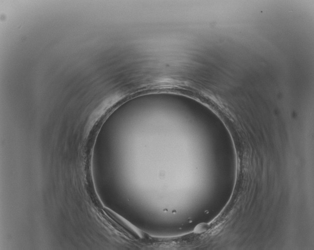 X0000068841410200605121355