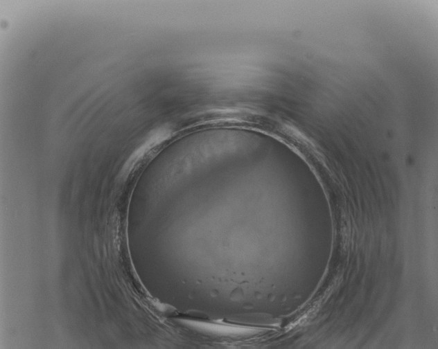 X0000068841411200605121355