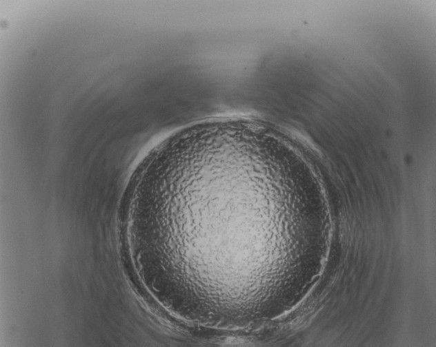 X0000068841412200605121355