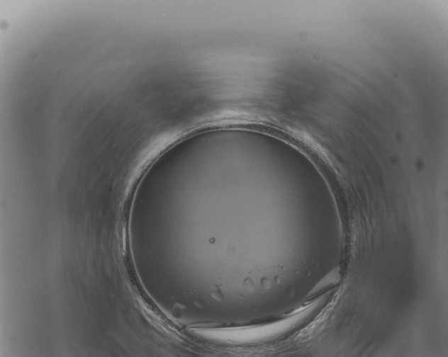 X0000068841413200605121355