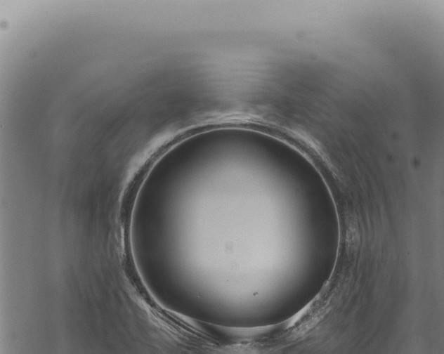 X0000068841414200605121355