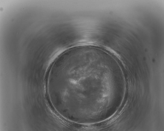 X0000068841415200605121355