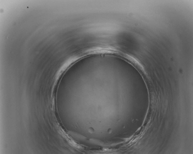 X0000068841419200605121355