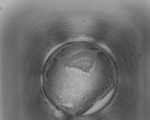 X0000068841420200605121355