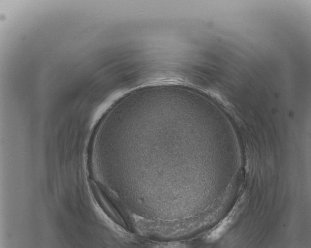 X0000068841422200605121355