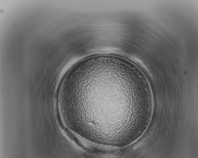 X0000068841424200605121355